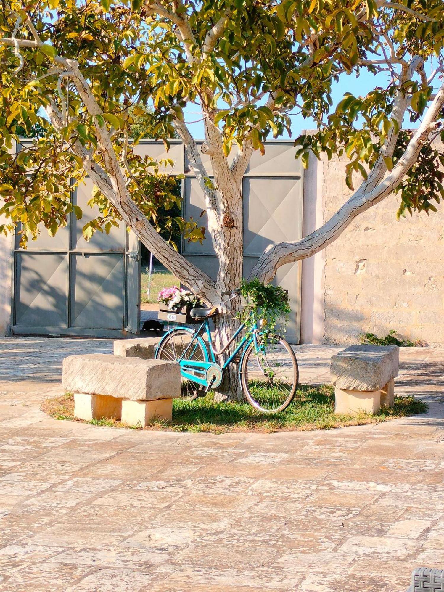 Masseria Furca Alimini Exteriér fotografie